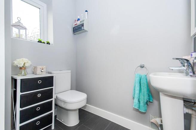 Photo 12