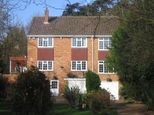 Rear View Of Property