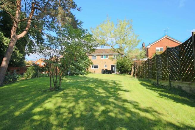 Back of Property 