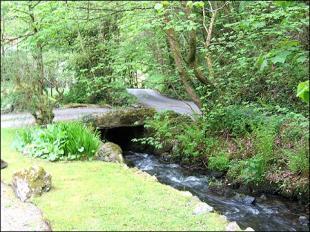 Brook