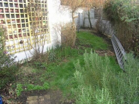 Rear Garden (1)