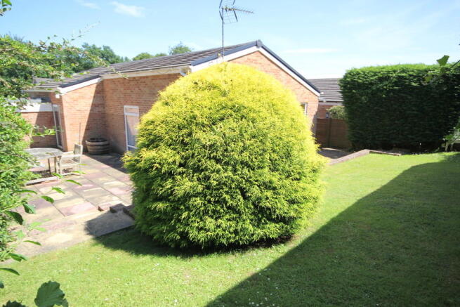 Photo 11