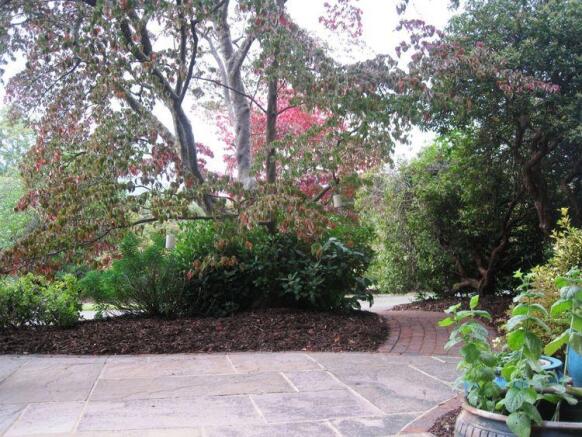 Photo 8