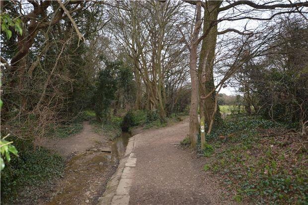 Walkway to fields