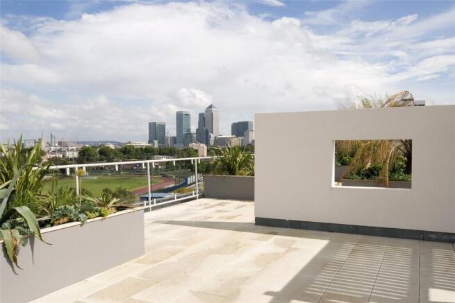 Communal Rooftop