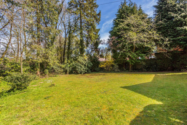 Lawn