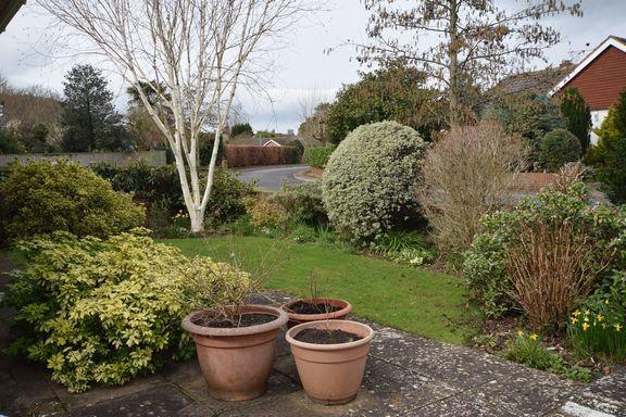 Front garden