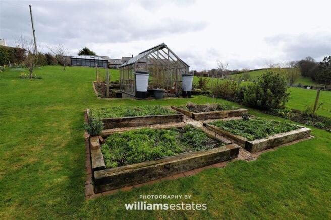 vegetable patch  