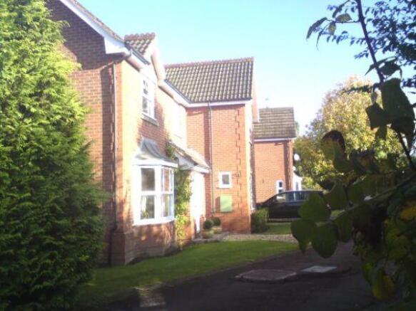 Photo 6