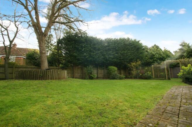 back garden