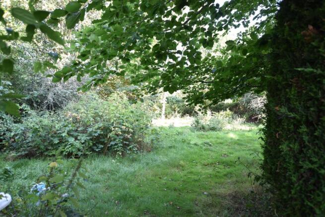 SECRET GARDEN PHOTO