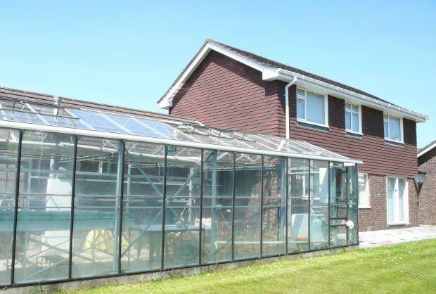 GREEN/GLASSHOUSE