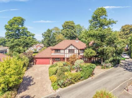 Tudor Woods, Llanyrafon, Cwmbran