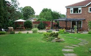 Rear Garden View 2