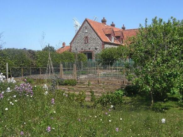 View over vegetable