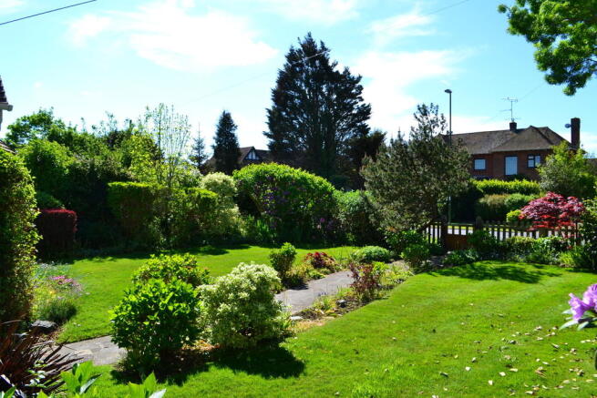 Photo 7