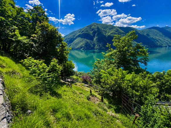 land