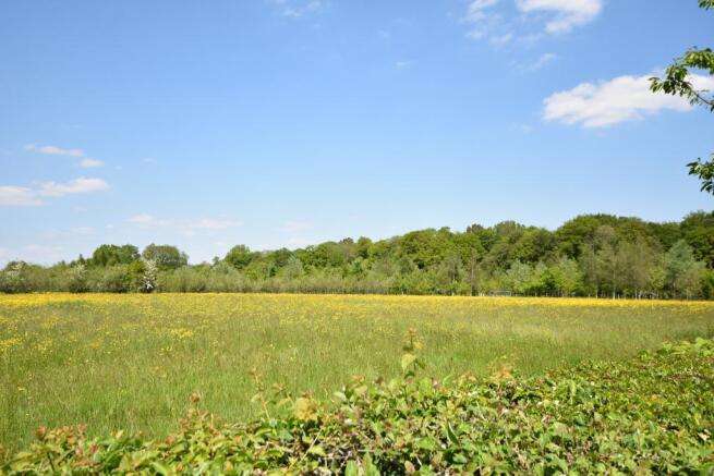 Rural Outlook
