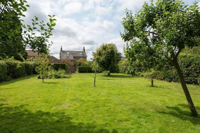 Orchard