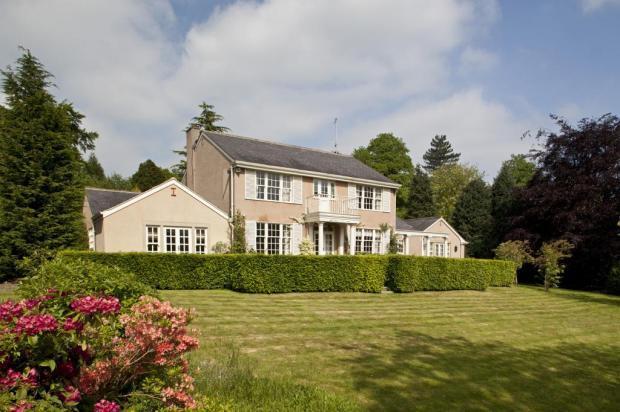 Lovely Gardens