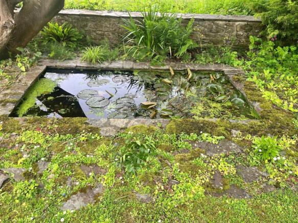Lilly pond.jpg