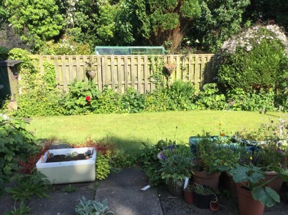Photo 12