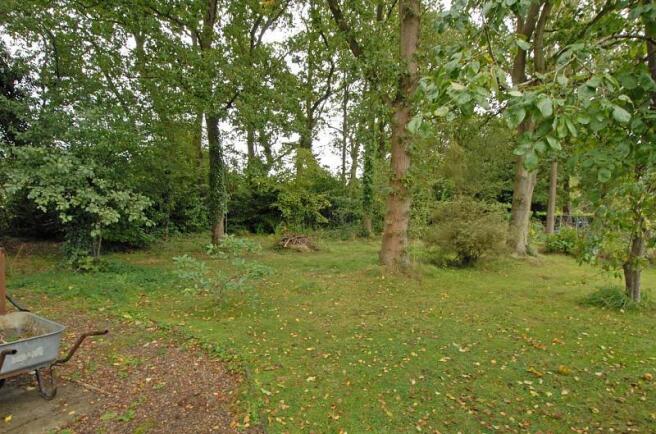 woodland area