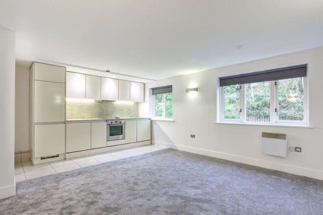 OPEN PLAN LOUNGE KITCHEN
