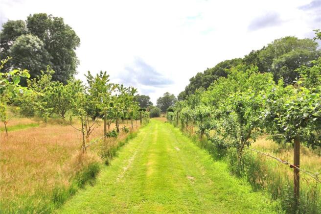 Orchard