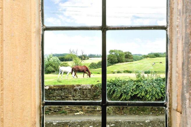 View From Window