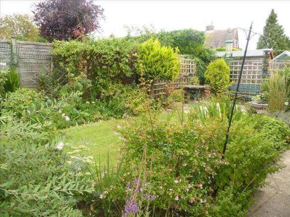 Photo 14
