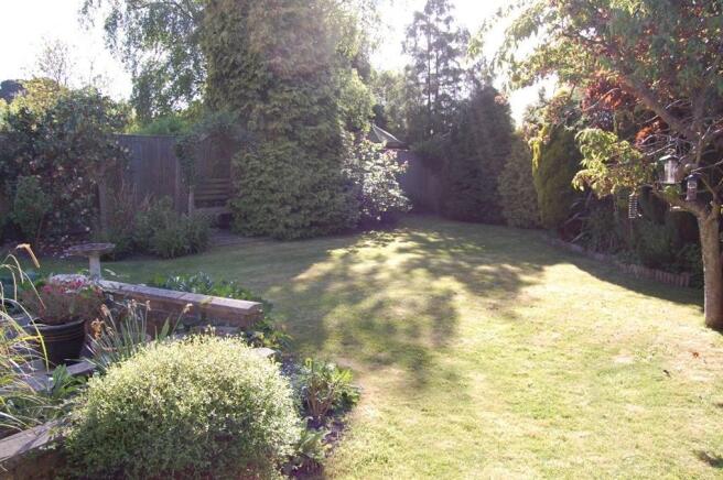 Photo 11