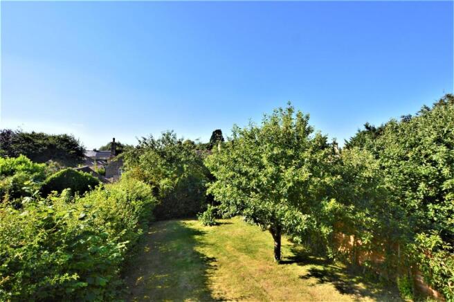 Garden 2