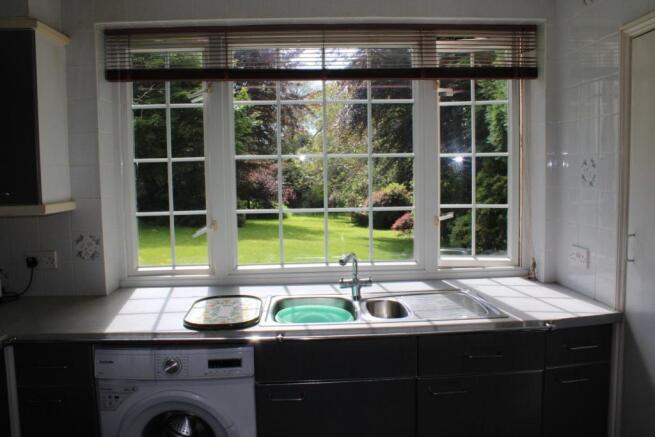 View from Kitchen