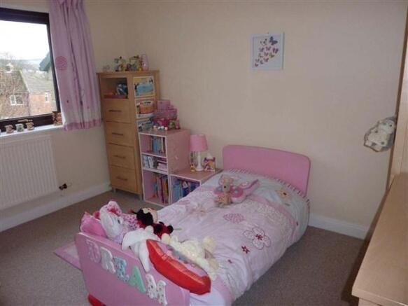 Picture 8
