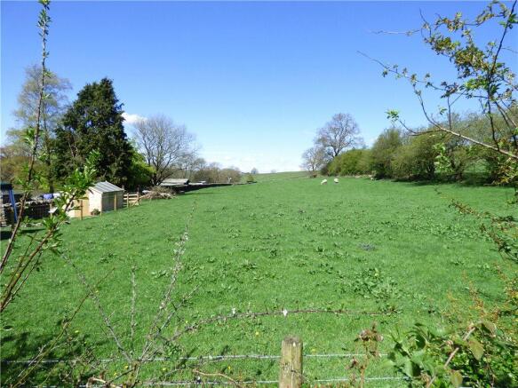 Field