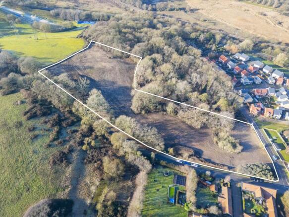 2 Medium T202602171113.jpg