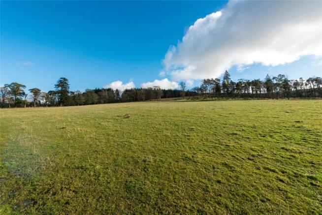 Lot 2 - Pasture