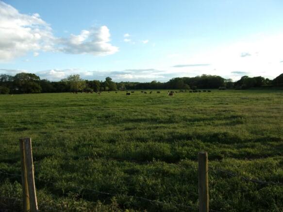 Countryside Views