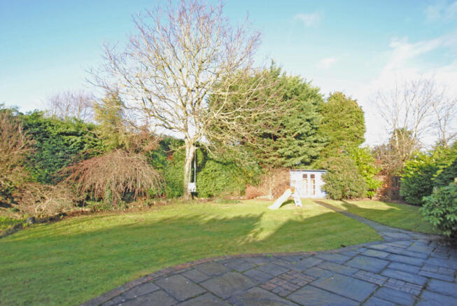 Photo 19