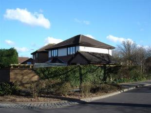 Rear Elevation