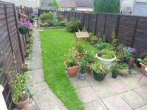 Photo 6