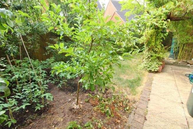 36 Gdn.JPG