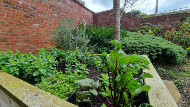 Communal Gardens