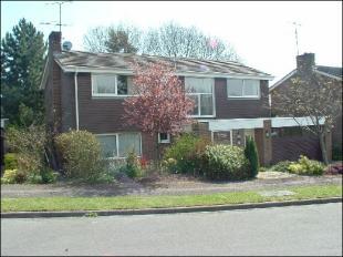 Front Aspect