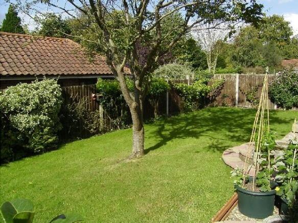 Garden 1