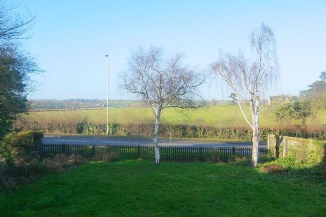 Countryside Views