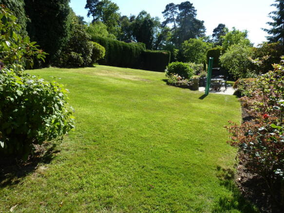 Photo 11