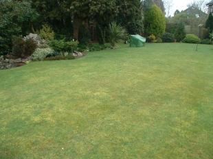 2nd Shot Of Rear Garden