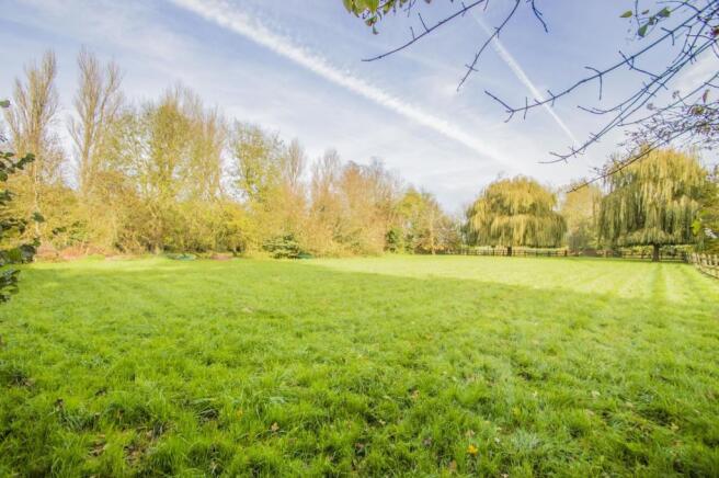 Meadow